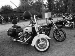 18° Motoduck Agosto 2015 (135)